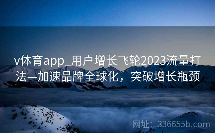 v体育app_用户增长飞轮2023流量打法—加速品牌全球化，突破增长瓶颈