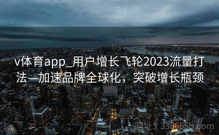 v体育app_用户增长飞轮2023流量打法—加速品牌全球化，突破增长瓶颈