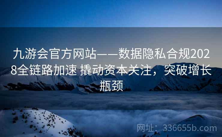 九游会官方网站——数据隐私合规2028全链路加速 撬动资本关注，突破增长瓶颈
