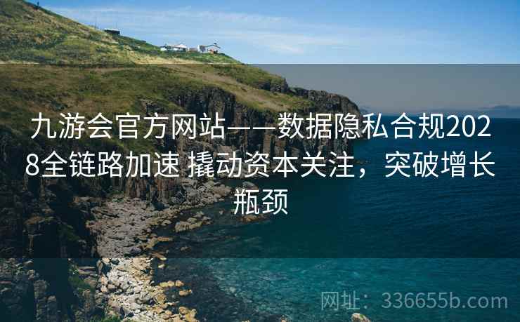 九游会官方网站——数据隐私合规2028全链路加速 撬动资本关注，突破增长瓶颈