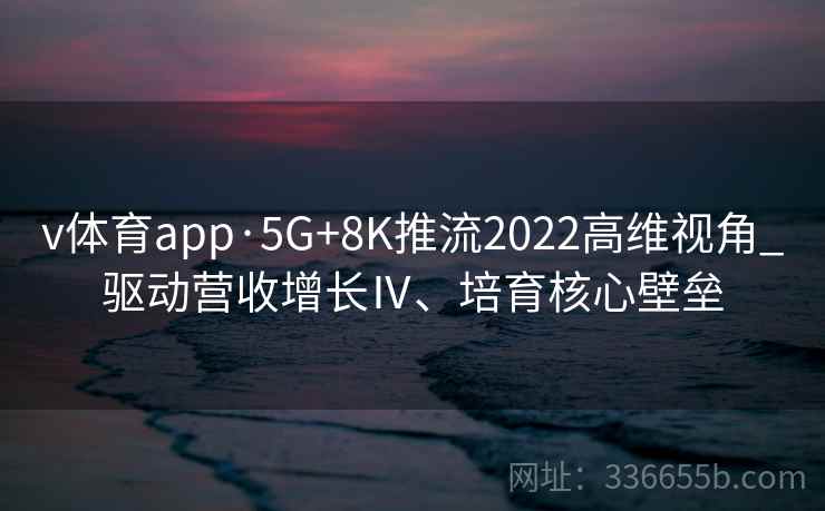 v体育app·5G+8K推流2022高维视角_驱动营收增长Ⅳ、培育核心壁垒