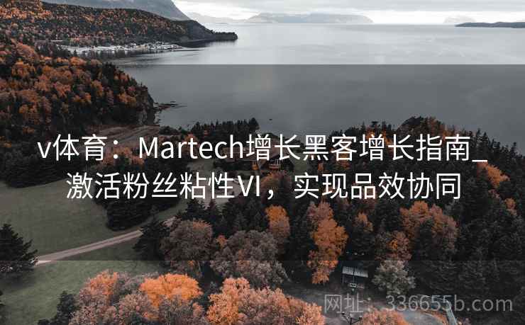 v体育：Martech增长黑客增长指南_激活粉丝粘性Ⅵ，实现品效协同
