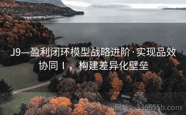 J9—盈利闭环模型战略进阶·实现品效协同Ⅰ，构建差异化壁垒